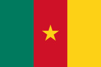 Flagge Kamerun WM 2014