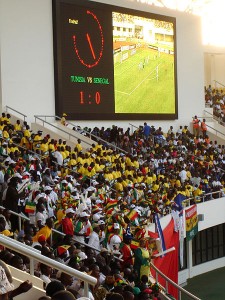 Africa Cup Fans 